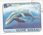 Stamps Guinea Bissau -  balaenoptera musculus