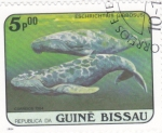 Stamps : Africa : Guinea_Bissau :  eschrichtius gibbosus