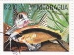 Sellos de America - Nicaragua -  PEZ-corydoras arcuatus