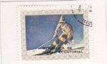 Stamps Equatorial Guinea -  OLIMPIADA INNSBRUCK,76