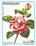 Stamps Paraguay -  ROSA JAPONESA 