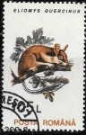 Stamps : Europe : Romania :  FAUNA
