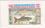 Stamps : Asia : Cambodia :  PECES- trucha