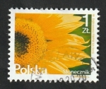 Stamps Poland -  4431 - Flor, Girasol