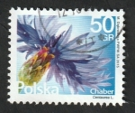 Stamps Poland -  4460 - Flor, Centaurea L.