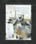 Stamps Europe - Poland -  Fauna, Lémur de cola anillada, Lemur catta