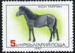 Stamps : Europe : Bulgaria :  Caballo