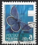 Sellos de Europa - Polonia -  2013 - Polyommatus semiargus