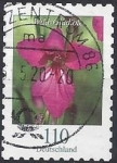 Stamps : Europe : Germany :  2019 - Wild-Gladiole