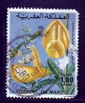 Stamps Morocco -  Flor