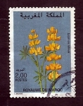 Sellos de Africa - Marruecos -  Flor