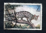 Stamps Spain -  Genetta