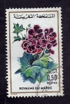 Sellos de Africa - Marruecos -  Flor