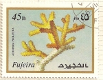 Stamps United Arab Emirates -  Fujeira. Criaturas marinas. Acropora Prolifera.