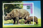 Sellos de Africa - Guinea Ecuatorial -  Rinoceronte asiático