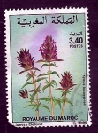 Stamps : Africa : Morocco :  Flor
