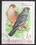 Stamps Hungary -  Aves rapaces - Falcon vespertino
