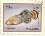 Sellos del Mundo : Asia : Emiratos_rabes_Unidos : Fujeira. Criaturas marinas. Nothobranchius Rachovi.