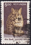 Sellos de Asia - India -  gato leopardo
