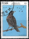 Stamps Cuba -  fauna