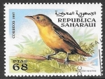 Sellos de Africa - Marruecos -  fauna