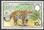 Stamps Belize -  fauna