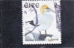 Stamps Ireland -  AVE