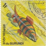 Stamps : Africa : Burundi :  pez tropical