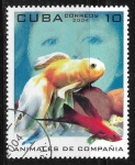 Sellos de America - Cuba -  Animales de Compañia