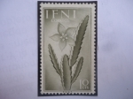 Stamps Spain -  Ed:ES-IF 104 - Stapelia Sp - Cactus - País: Ifni (Antigua provincia Española)