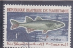 Stamps : Africa : Mauritania :  PEZ- mugil cephalus