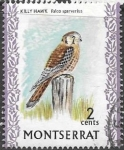 Stamps United Kingdom -  aves Montserrat