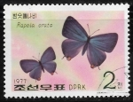 Stamps North Korea -  Mariposas - Rapala arata