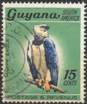 Sellos de America - Guyana -  aves