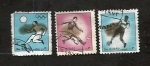 Stamps United Arab Emirates -  fUTBOL