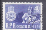 Stamps Romania -  FAO
