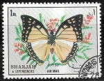 Sellos de Asia - Emiratos �rabes Unidos -  Mariposas 