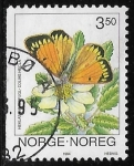 Sellos de Europa - Noruega -  Mariposas - Colias hecla)