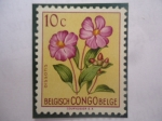 Sellos de Europa - B�lgica -  Congo Belga - Dissotis - Disotis Magnifíca- Serie: Flores.