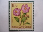 Stamps Belgium -  Congo Belga - Dissotis - Disotis Magnifíca- Serie: Flores.