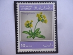 Stamps : Asia : Oman :  Sultanate of Omán - Dionysia Mira. (Crece en las grietas de las Rocas)