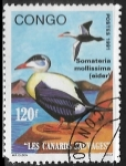 Sellos de Africa - Rep�blica del Congo -  Aves - Somateria mollissima)