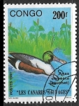 Sellos de Africa - Rep�blica del Congo -  Aves - Spatula clypeata)