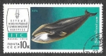 Stamps Russia -  4200 - Fauna de la URSS