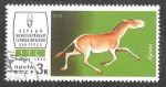 Stamps Russia -  4197 - Fauna de la URSS