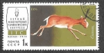 Stamps Russia -  4196 - Fauna de la URSS