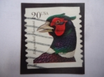 Stamps United States -  Faisan de Cuello Anillado (Phassianus colchicus torquatus