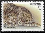 Stamps Kyrgyzstan -  Animales  - Panthera uncia