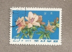 Sellos de Asia - Corea del norte -  Rododendro