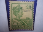 Stamps Netherlands Antilles -  Queen  Wilhelmine - Tipo Seeger